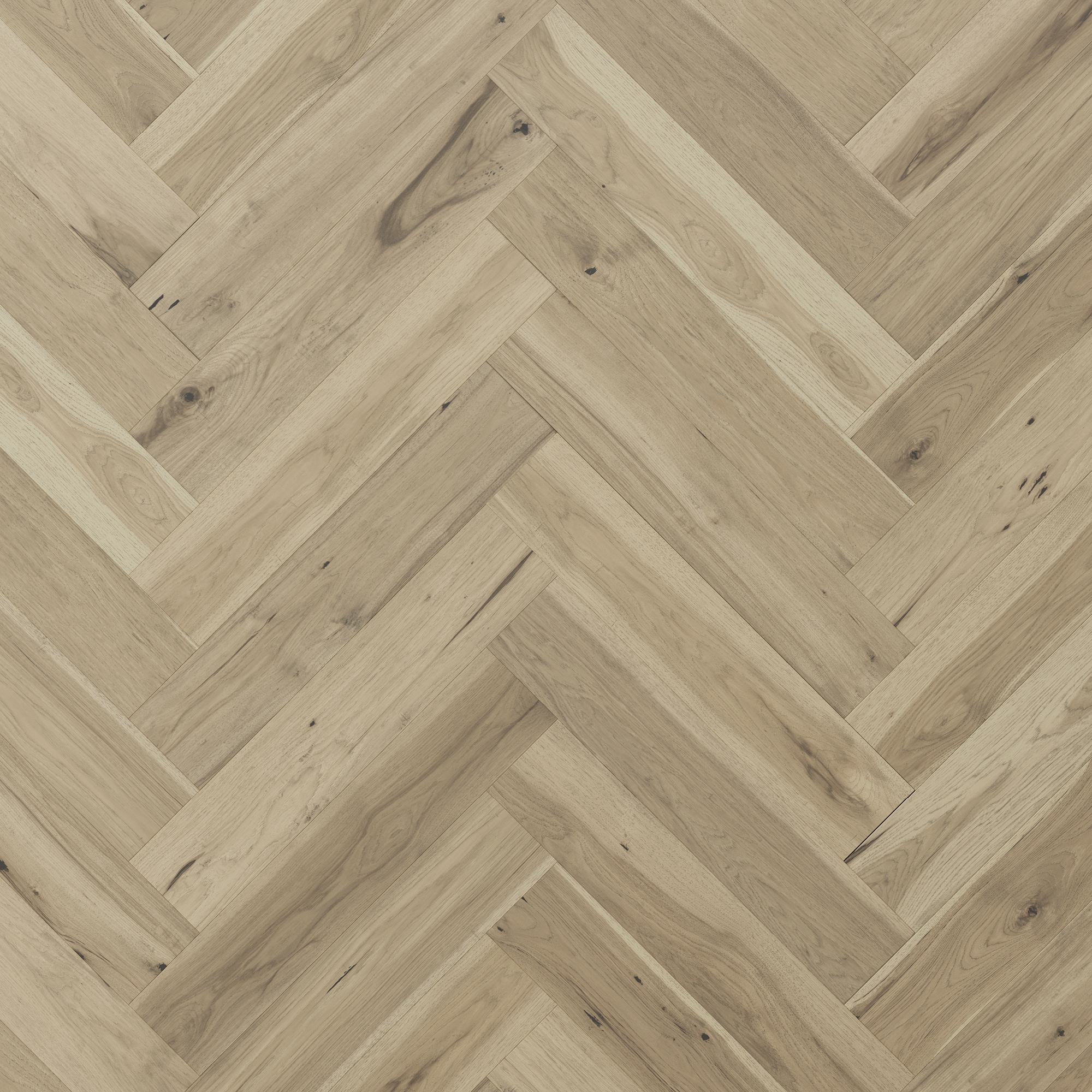 floor-img